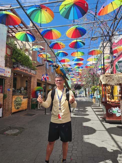 Puerto Plata: Monkey Tour, Fortress, and Historic Center - Discover Puerto Plata: Monkey Sanctuary, Fortress, and Colorful Streets