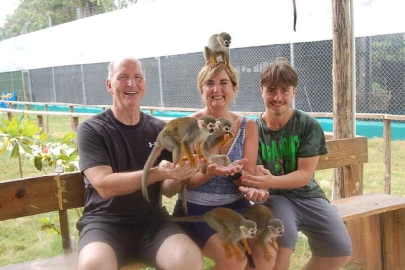 Puerto Plata: Monkey Tour, Fortress, and Historic Center - FAQ