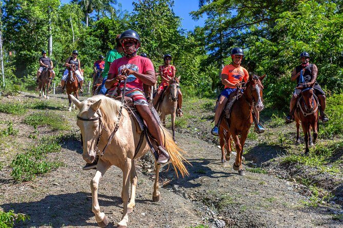 Puerto Plata: Mountain Half Day Horseback Riding - An In-Depth Look at the Puerto Plata Mountain Horseback Ride