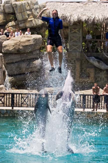 Puerto Plata: Ocean World Adventure Park Day Pass - A Complete Look at Ocean World Puerto Plata: What to Expect and Why It Matters