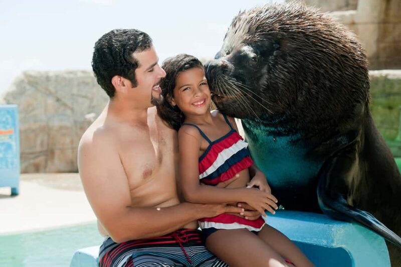 Puerto Plata Ocean World Tickets - A Thorough Look at Puerto Plata Ocean World