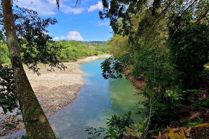 Puerto Plata Rejoya River Excursion Amber Cove Taino Bay Hotels - The Sum Up