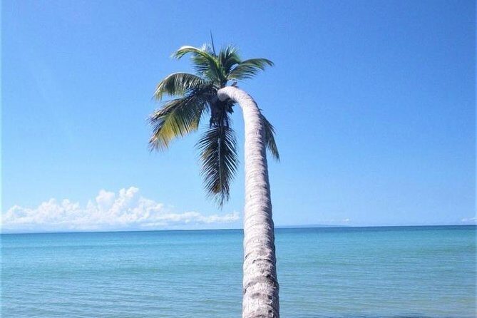 Puerto Plata-Round Trip Shuttle- 1-6 Passangers - The Sum Up: Is This Shuttle Right for You?