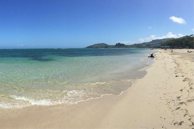 Puerto Plata Shore Excursion: ATV adventure for Amber Cove & Taino Bay Passenger - Experience a Guided ATV Ride in Puerto Plata: What You Need to Know