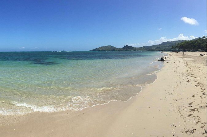 Puerto Plata Shore Excursion: ATV adventure for Amber Cove & Taino Bay Passenger - Final Thoughts: Who Should Book This Tour?