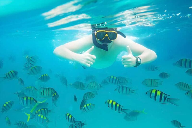 Puerto Plata: Snorkeling Excursion to Sosúa beach - The Value of This Snorkeling Tour