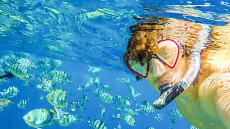 Puerto Plata: Sosúa Bay Snorkeling Tour with Guide - A Practical Look at the Snorkeling Experience