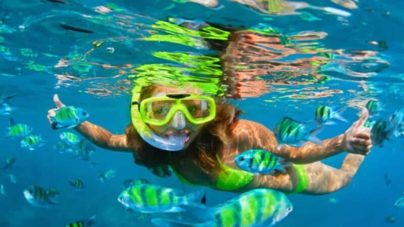 Puerto Plata: Sosúa Bay Snorkeling Tour with Guide - Who Would Enjoy This Tour?