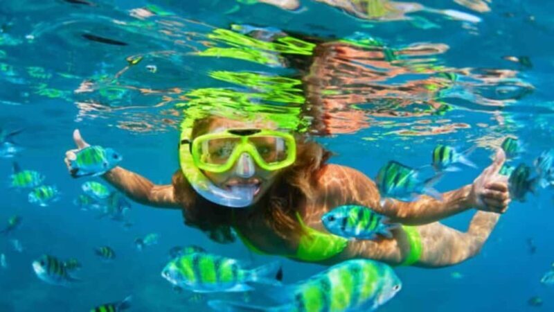 Puerto Plata: Sosúa Bay Snorkeling Tour with Transfers - Key Points