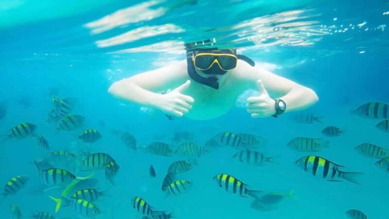 Puerto Plata: Sosúa Bay Snorkeling Tour with Transfers - Detailed Review of the Sosúa Bay Snorkeling Tour