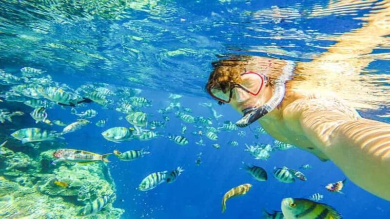 Puerto Plata: Sosúa Bay Snorkeling Tour with Transfers - FAQ