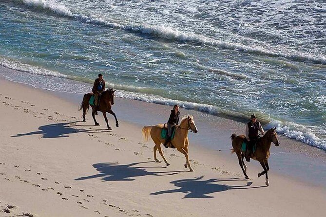 Puerto Plata: Sunset Beach Horseback Riding - Key Points