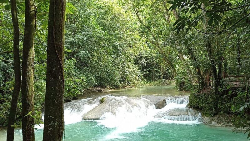 Puerto Plata: Taino Valley and Dominican Flavor Experience - Final Thoughts