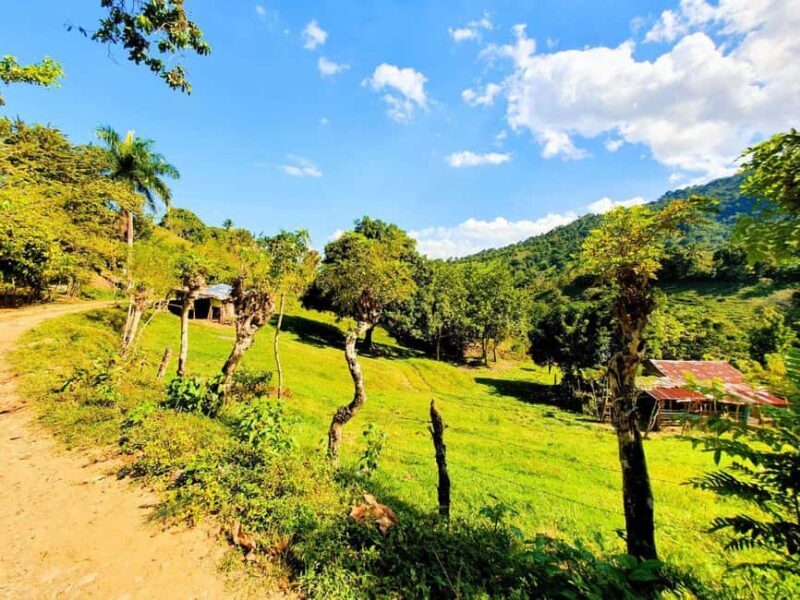 Puerto Plata Trekking - Experience of Nature and Folklore - Exploring the Puerto Plata Trekking Tour in Detail