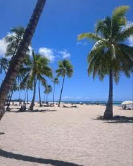 Puerto Plata: Whale Watching & Bacardi Island Day Trip - FAQ