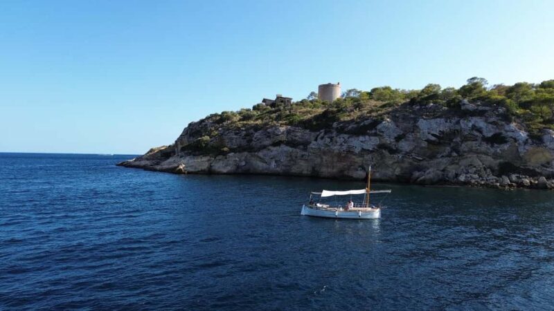 Puerto Portals: 100% electric Mallorcan boat tour with professional skipper - Key Points
