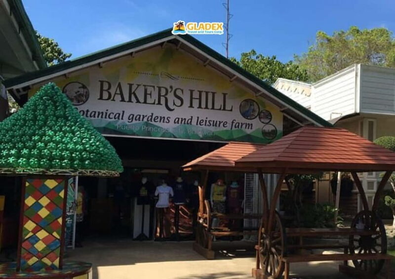 Puerto Princesa: City Highlights Half-Day Tour - Key Points