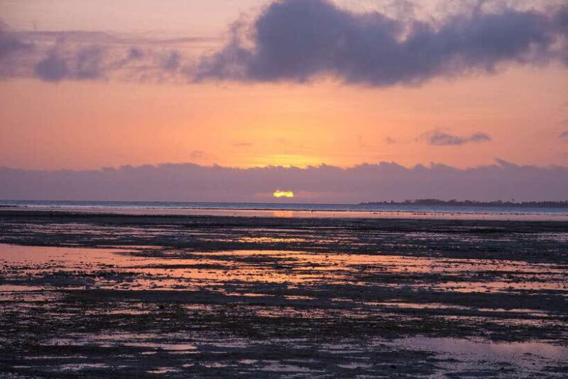 Puerto Princesa: Firefly Watching Bay Cruise with Dinner - A Detailed Look at the Firefly Watching Bay Cruise