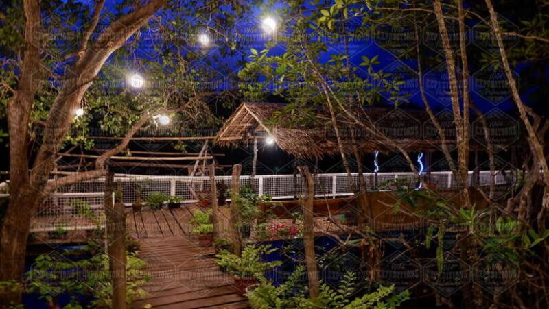 Puerto Princesa: Firefly Watching Paddle Boat Tour & Dinner - The Itinerary and What It Means for You