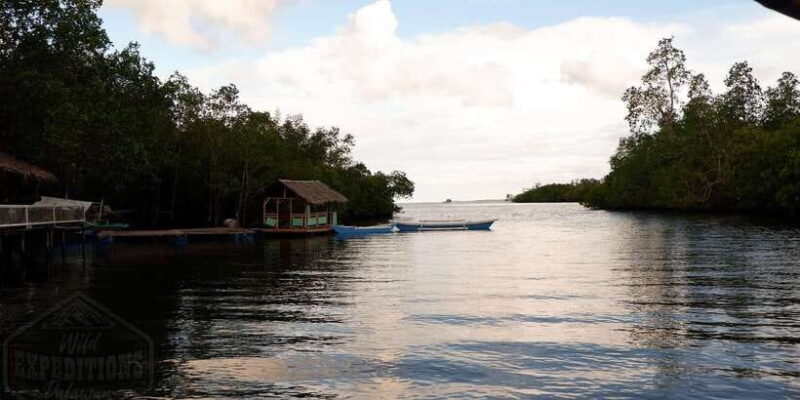 Puerto Princesa: Firefly Watching Paddle Boat Tour & Dinner - Seasonality and Best Timing