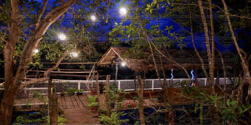 Puerto Princesa: Firefly Watching Paddle Boat Tour & Dinner - Who Should Consider This Tour?