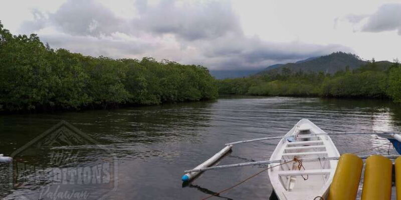 Puerto Princesa: Firefly Watching Paddle Boat Tour & Dinner - Final Thoughts on the Firefly Watching Paddle Boat Tour & Dinner