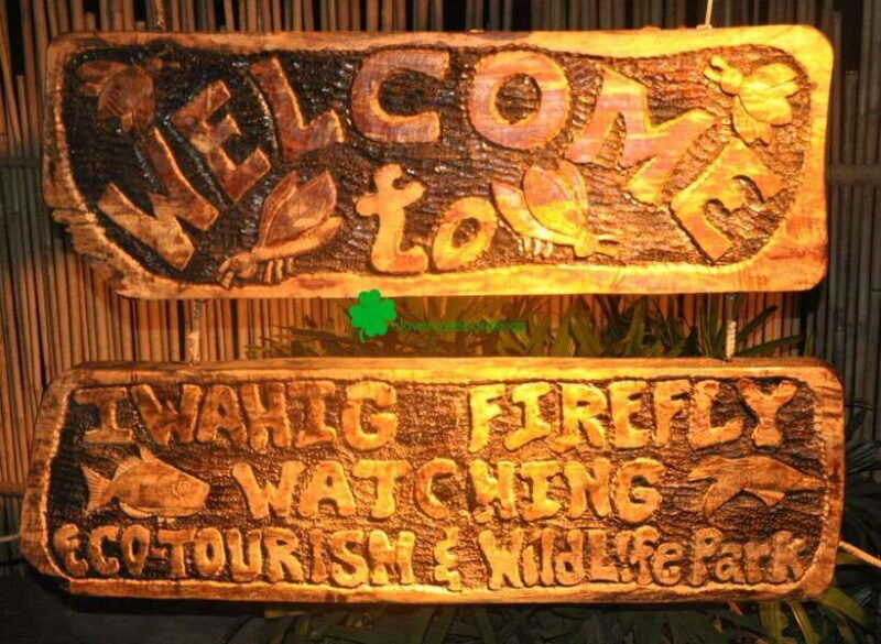 Puerto Princesa Firefly Watching (shared tour) - Why This Tour Offers Great Value
