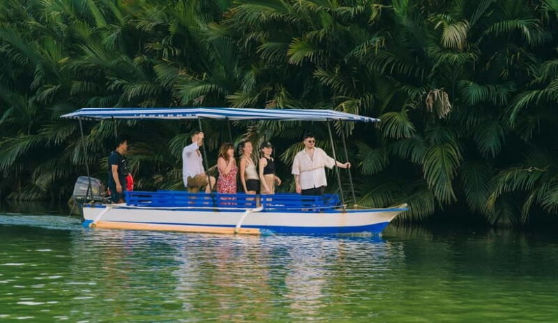 Puerto Princesa: Firefly Watching Tour with Dinner - Final Thoughts: Who Should Consider This Tour?