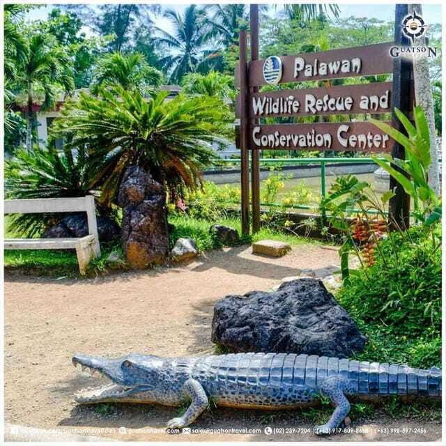 Puerto Princesa Half Day City Tour (shared tour) - Practical Details and What You’ll Value