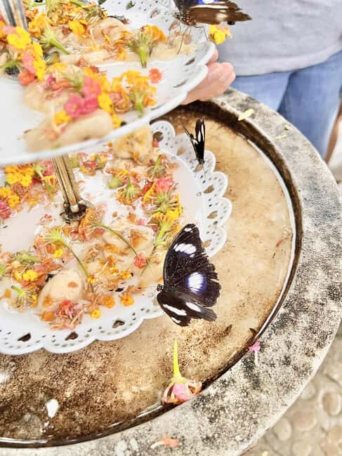 Puerto Princesa: Half Day City Tour with Butterfly Garden - Scenic Strolls and Panoramic Views