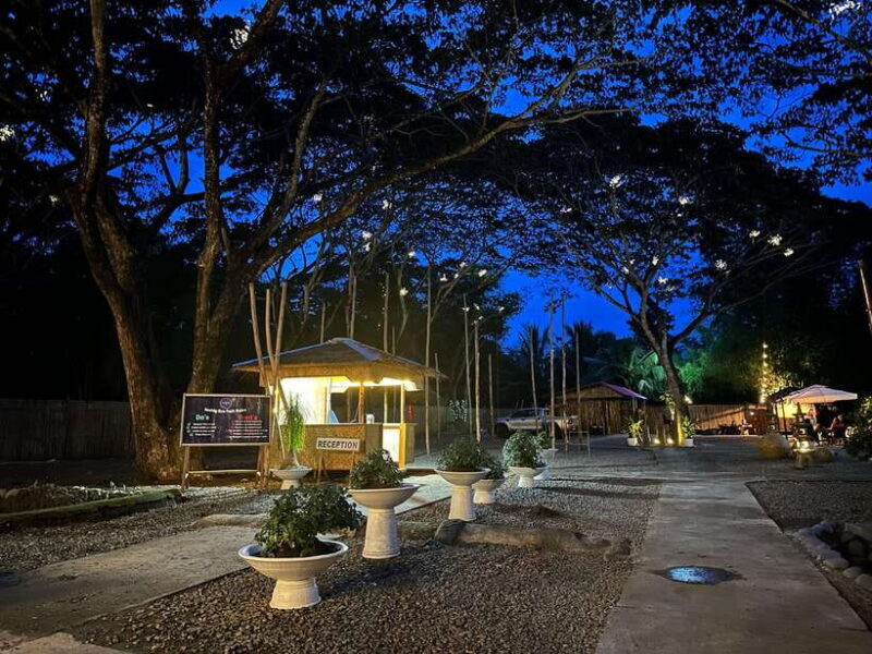 Puerto Princesa: Iwahig Firefly Watching & River Cruise - A Closer Look at the Experience