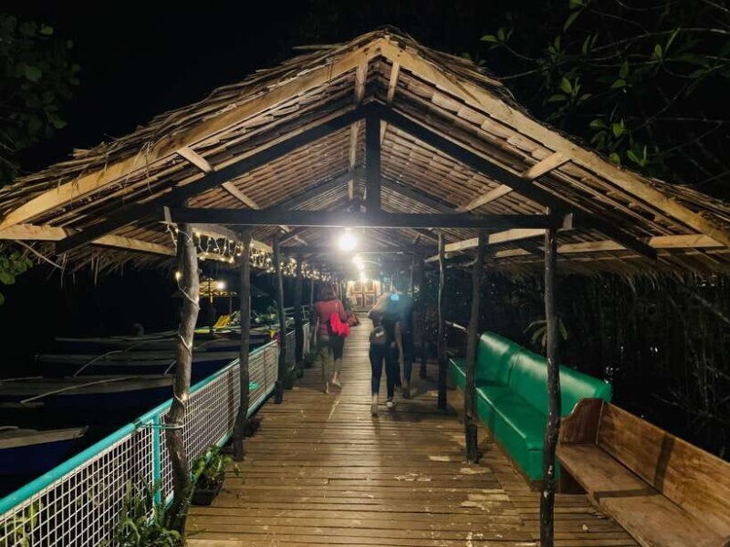 Puerto Princesa: Jungle Firefly Watching Boat Tour & Dinner - Key Points