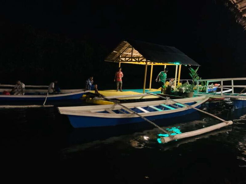 Puerto Princesa: Jungle Firefly Watching Boat Tour & Dinner - Final Thoughts