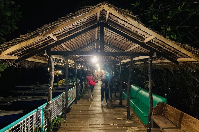 Puerto Princesa Jungle River Firefly Watching - The Experience in Detail