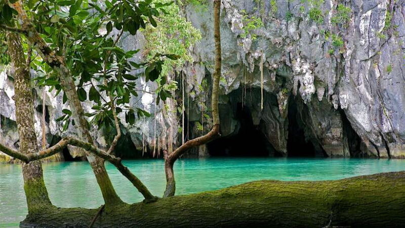 Puerto Princesa: Private Full-Day Tour To Underground River - Who Will Love This Tour?
