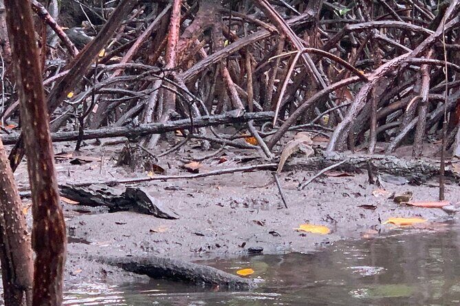 Puerto Princesa Underground River Guided Trekking Tour - Final Analysis