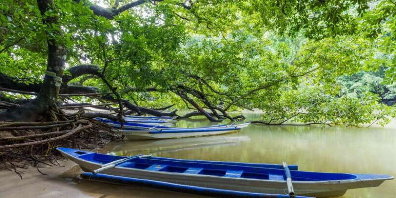 Puerto Princesa Underground River Tour in Palawan - FAQ