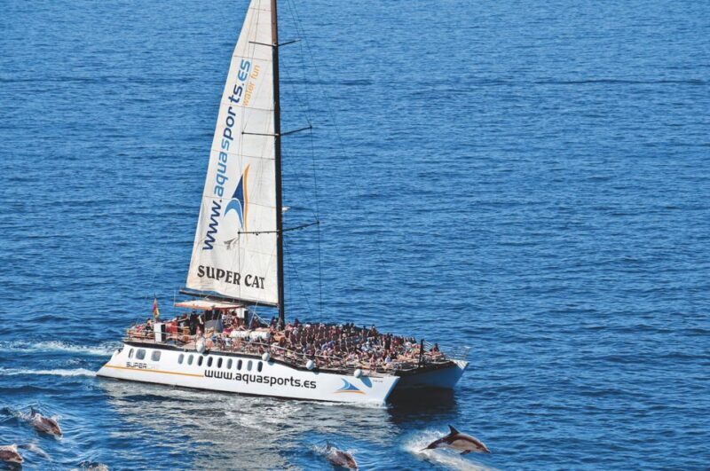 Puerto Rico : 2 hour Dolphin Catamaran Excursion - A Deep Dive into the Dolphin Catamaran Experience