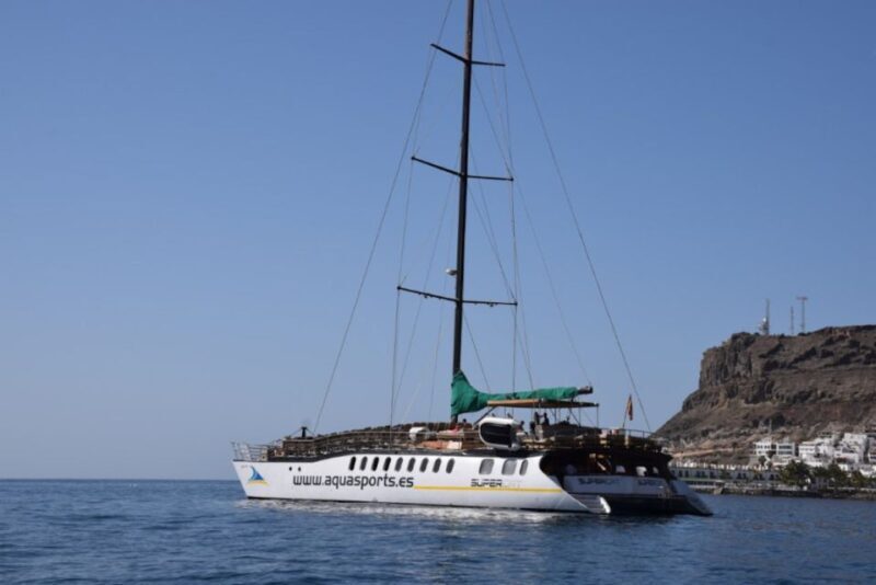 Puerto Rico : 2 hour Dolphin Catamaran Excursion - FAQ