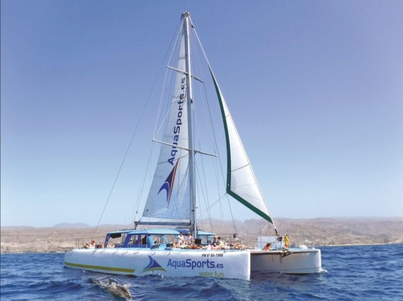 Puerto Rico: 4-Hour Catamaran Excursion in the South - FAQ