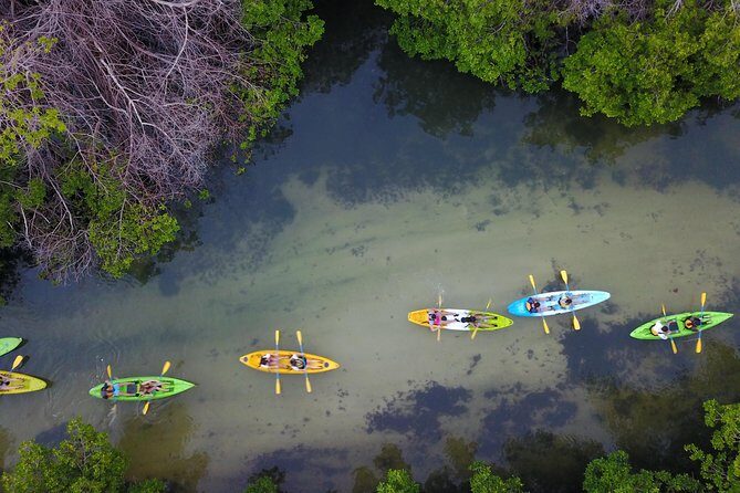 Puerto Rico Bio Bay Kayak Adventure Tour - Frequently Asked Questions