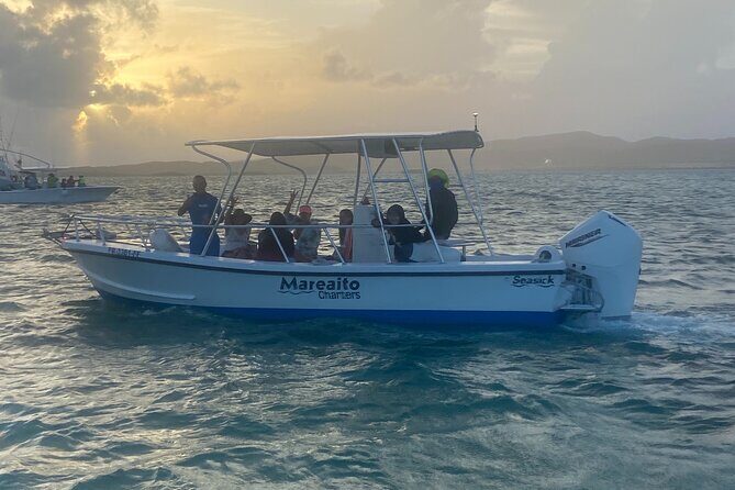 Puerto Rico: Bio Bay Swim and Sunset Charter or Late night tour - Why This Tour Offers Great Value