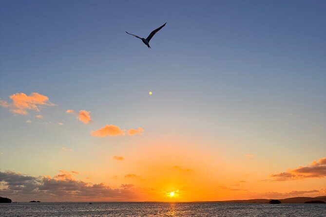 Puerto Rico: Bio Bay Swim and Sunset Charter or Late night tour - Frequently Asked Questions