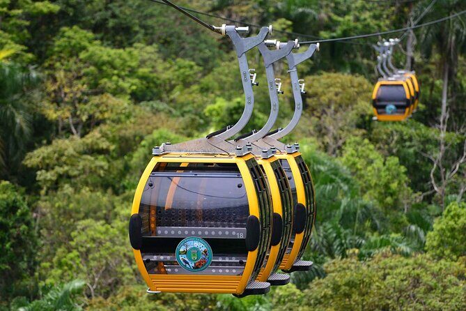 Puerto Rico Cable Car and Bird Sanctuary Tour - Puerto Rico Cable Car and Bird Sanctuary Tour: A Detailed Look