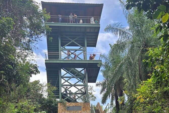 Puerto Rico Cable Car and Bird Sanctuary Tour - Key Points