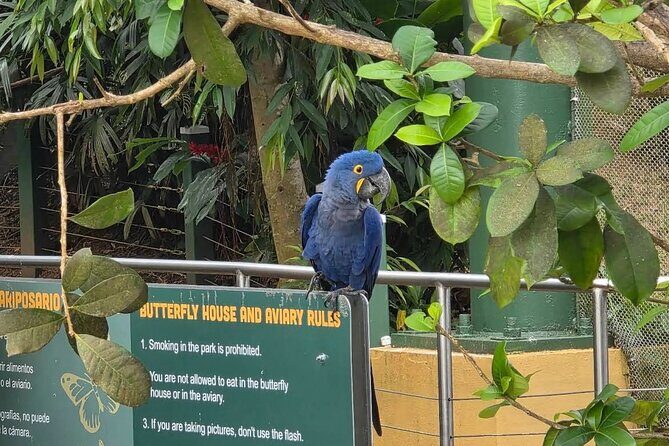 Puerto Rico Cable Car and Bird Sanctuary Tour - Practical Details and Tips