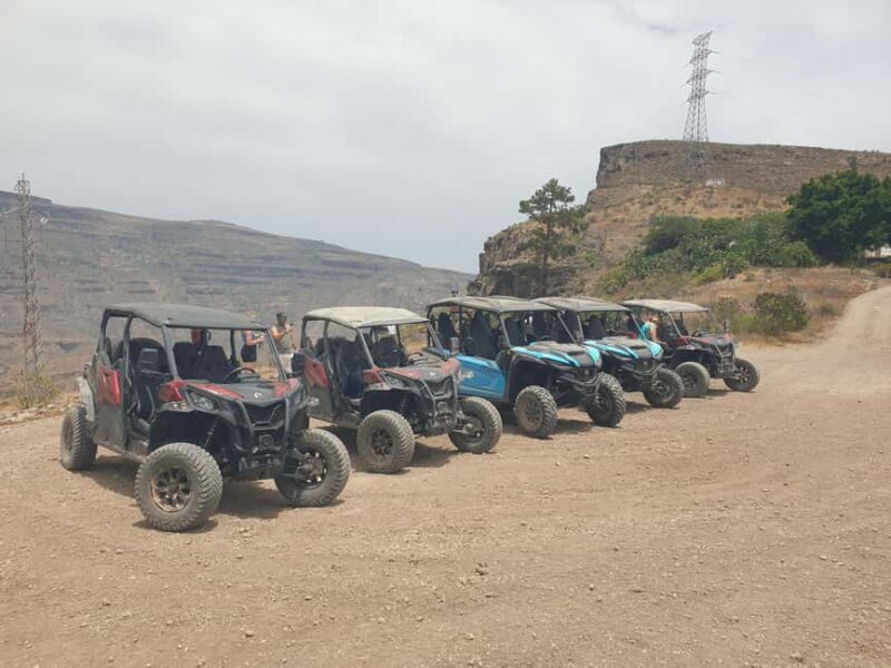 Puerto Rico de Gran Canaria: Offroad Buggy Tour - Final Thoughts