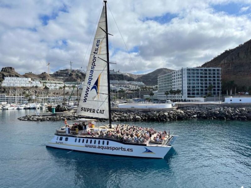Puerto Rico de Gran Canaria: Premium Dolphin Catamaran Tour - The Sum Up: Who Should Consider This Tour?