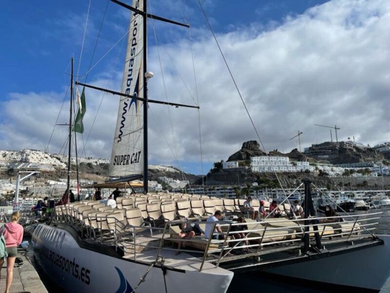 Puerto Rico de Gran Canaria: Premium Dolphin Catamaran Tour - FAQ