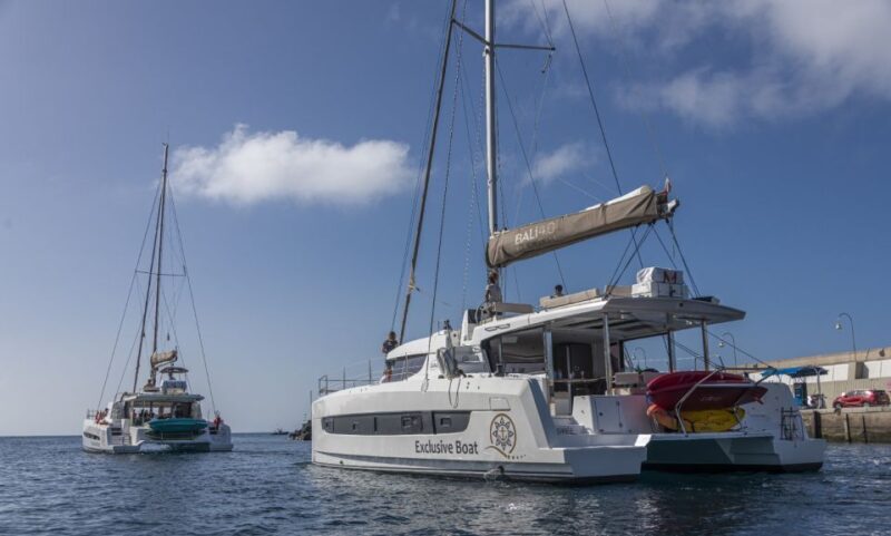 Puerto Rico de Gran Canaria: Private Catamaran Charter - Key Points